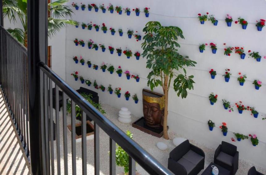Casa Patio Las Palmeras Cordoba Con Piscina Buitenkant foto